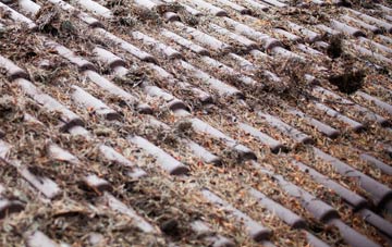 Bishops Lydeard roof cleaning companies