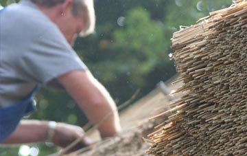 professional Bishops Lydeard thatchers