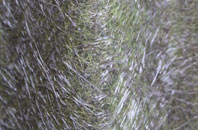 Bishops Lydeard fibreglass roof work